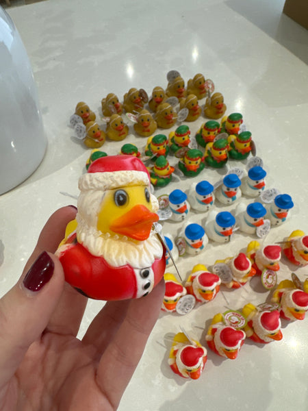 Christmas Duck