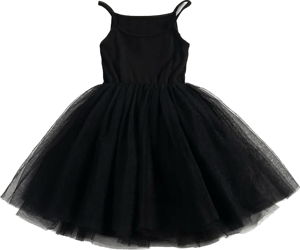 Black Tulle Tutu Dress