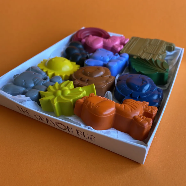 Safari Wax Crayon Gift Box